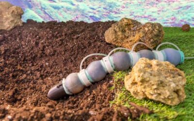 Lombriz de tierra robótica