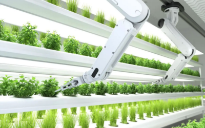 Robótica, aliada de la economía circular