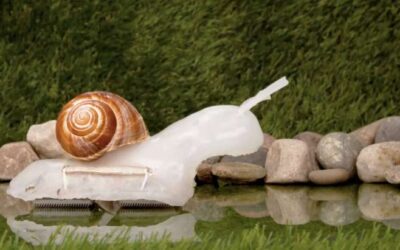 Un nuevo material supone un gran avance en la «robótica blanda».