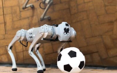 Dribblebot es el robot que juega al futbol en cualquier terreno