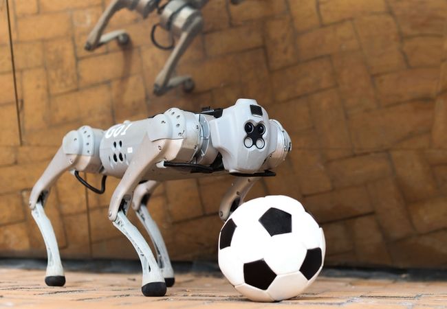 Dribblebot es el robot que juega al futbol en cualquier terreno