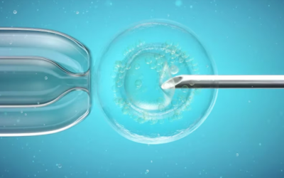 Un robot que simplifica y baja de precio la fertilización in vitro