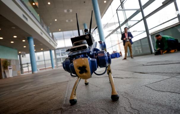 Un experto avisa: los trabajadores básicos serán sustituidos por robots en 15 años