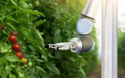 Investigadores crean un robot recolector de tomates siguiendo las instrucciones de ChatGPT