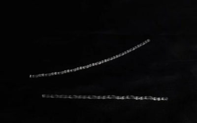 El robot «sin cerebro» que recorre laberintos y sortea entornos complejos sin ayuda humana