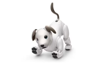 Sony crea un programa para adoptar perros robots