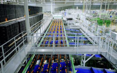 La inteligencia artificial y la robótica, al servicio del sector hortofrutícola de la mano de Maf Roda