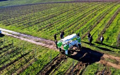 Martín Códax integra la robótica en la viticultura