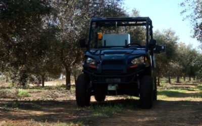 El MAPA financia con 2,5 millones de euros la incorporación de Inteligencia Artificial y robótica en el sector agroalimentario