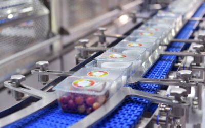 Automatización y robótica: nuevos caminos para la eficiencia en la industria alimentaria
