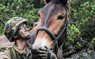 El US Army despliega una nueva arma: mulas robóticas para ayudar a sus soldados a transportar cosas