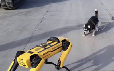Video viral: ¿Cómo reacciona un perro al conocer a un perro robot?