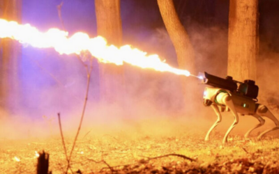 ¿Potencial arma?: Ponen a la venta un inquietante perro robot lanzallamas y desató el debate en redes