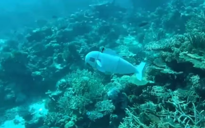 Cómo es el pez robot suizo que recolecta ADN del mar y para qué se utilizan sus muestras