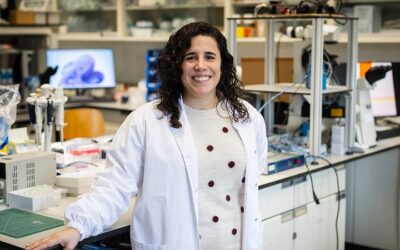 Un proyecto de la UB ayudará a minimizar el impacto ambiental del uso de micro- y nanorrobots
