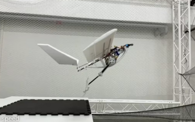 Camina, salta y vuela: así es RAVEN, el robot que imita los movimientos de un ave