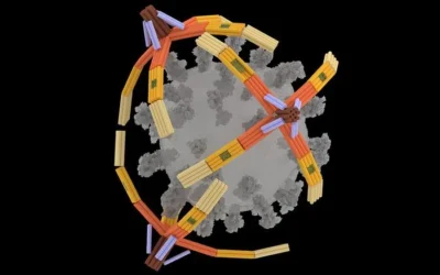 Esta mini mano robótica hecha de ADN es capaz de atrapar virus