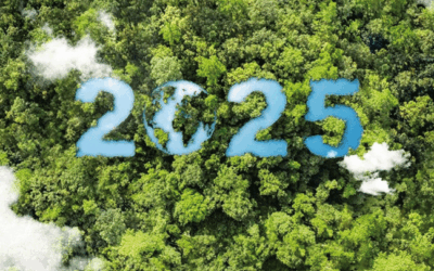 La industria española impulsa una gran transformación en 2025: automatización, robótica, sostenibilidad y nuevas dinámicas laborales marcan el futuro del empleo