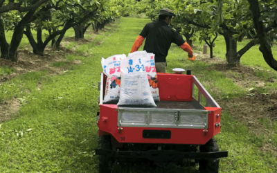 Cómo es y qué hace “Adam”, el increíble robot con IA creado para asistir a los trabajadores agrícolas