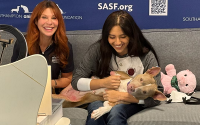 Joven prodigio de la robótica le da a perro de refugio una nueva oportunidad de vida con una prótesis impresa en 3D