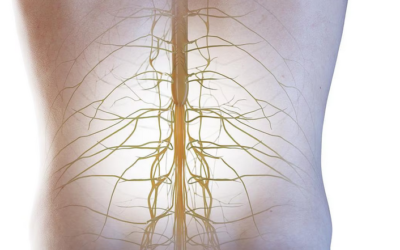Implantes y robótica pueden aliviar la parálisis de las lesiones de la médula espinal
