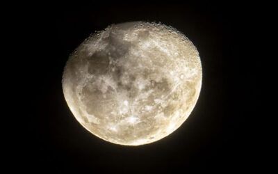 Ya es oficial: La sonda robótica ‘Athena’ ha llegado a la Luna en un estado desconocido