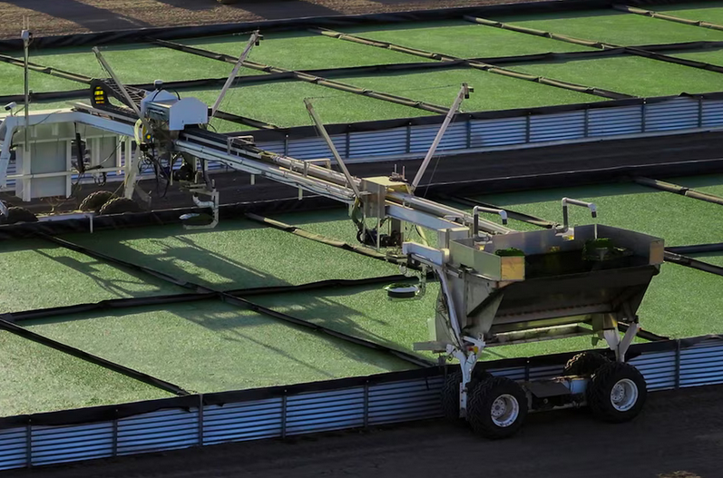 Una startup revoluciona la agricultura con tecnología robótica