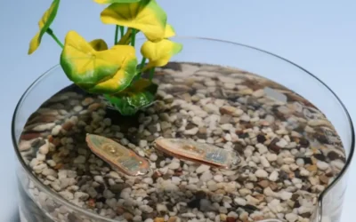 Científicos europeos crean un robot acuático que nada, se deshace y se convierte en comida para peces