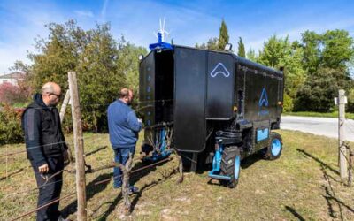 A prueba un robot de poda inteligente en Familia Torres: tecnología innovadora que automatiza las tareas agrícolas