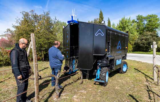 A prueba un robot de poda inteligente en Familia Torres: tecnología innovadora que automatiza las tareas agrícolas