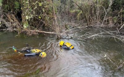 Con buzos y robot submarino buscan a adulta mayor extraviada en zona rural de Puerto Montt