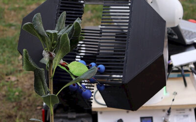 Investigadores UC desarrollan un robot que aprende a cosechar frutas delicadas