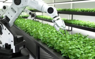 Revolución robótica en la agricultura española: eficiencia, empleo y sostenibilidad