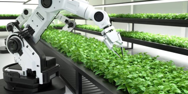 Revolución robótica en la agricultura española: eficiencia, empleo y sostenibilidad