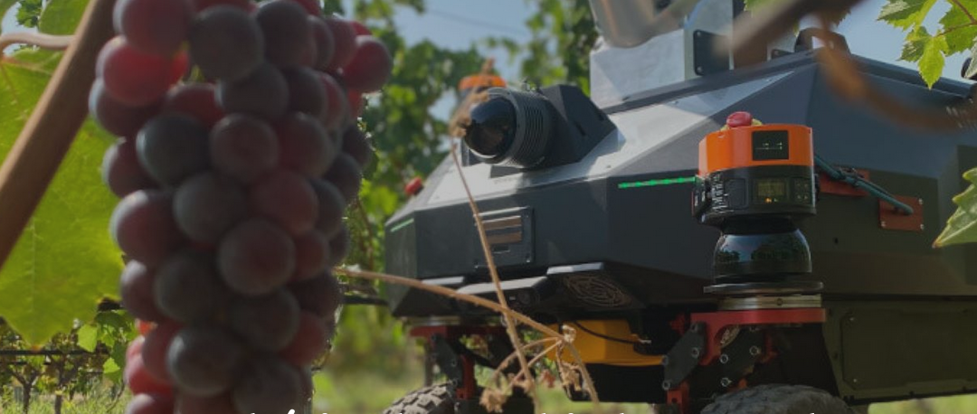 La robótica la cambia la cara a la agricultura en España