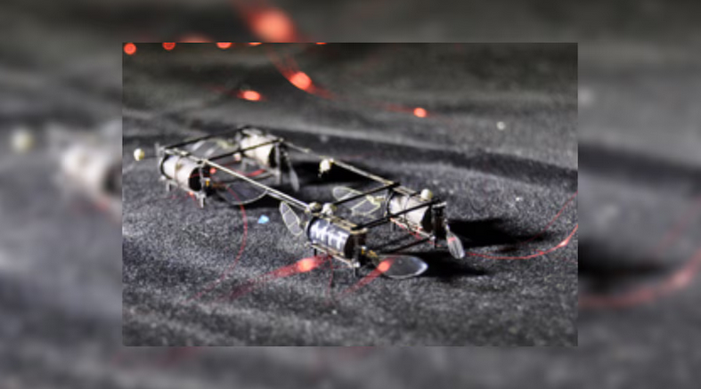 Así es el robot insecto que podría polinizar, hacer rescates y explorar en Marte