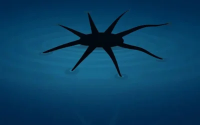 Diseñan un robot que camina sobre el agua