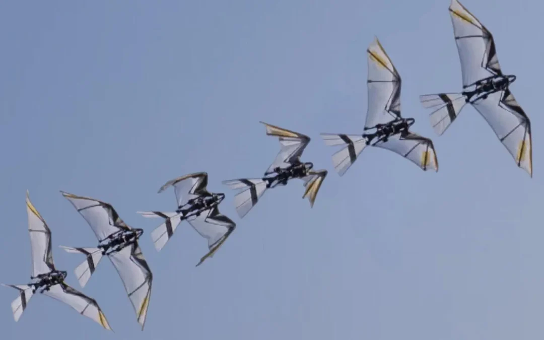El dron que parece un pájaro para despegar y volar en cualquier lugar: «Una hazaña para la robótica biomimética»