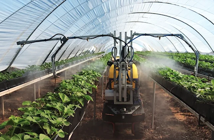 Robótica agrícola inteligente que cuida los cultivos