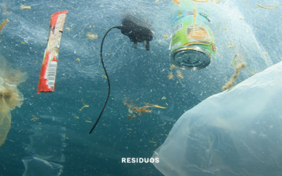 Robótica autónoma, la innovadora solución que proponen en Alemania contra los residuos submarinos en puertos y océanos