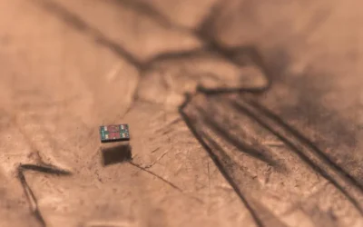 Este robot del tamaño de un grano de sal revolucionará la robótica microscópica