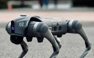 CHINA PONE FRENO AL BOOM DE LOS ROBOTS HUMANOIDES