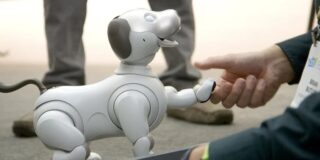 Fotografía únicamente ilustrativa del Aibo Robot. (foto: YouTube)